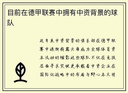 目前在德甲联赛中拥有中资背景的球队